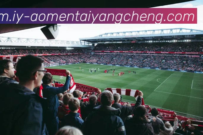 太阳城娱乐平台生态图