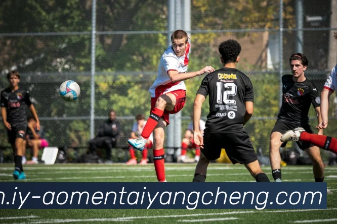 太阳城娱乐全站App 太阳城娱乐全站App